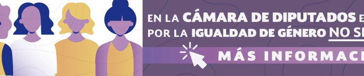 Banner_igualdad_diputados