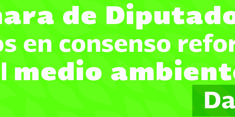 Banner_Camara_en_consenso_Medio_ambiente