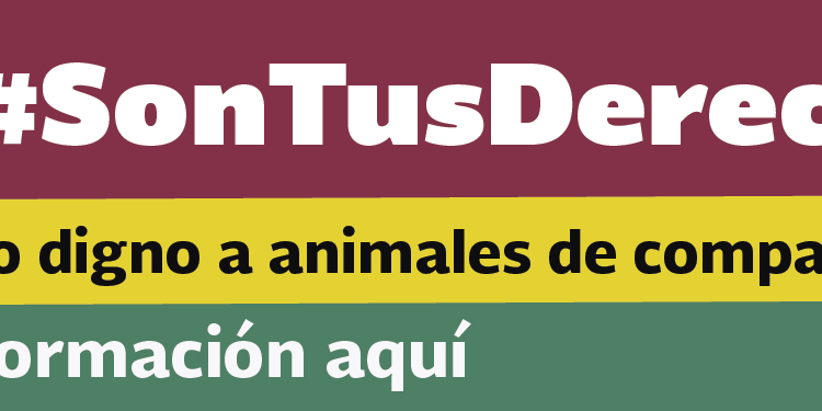 Banner_Son-tus-derechos-01-(2)
