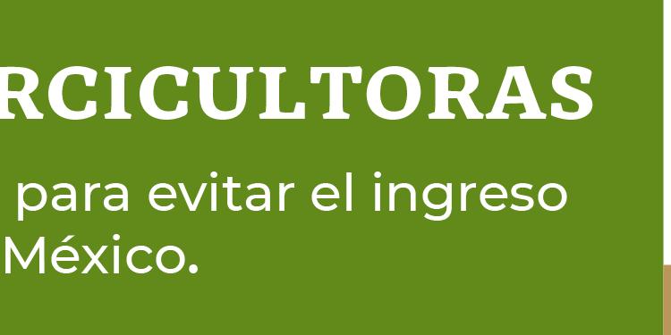 Agricultura_PPA_728x90 Productores