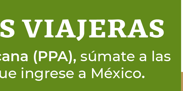 Agricultura_PPA__728x90 Turista